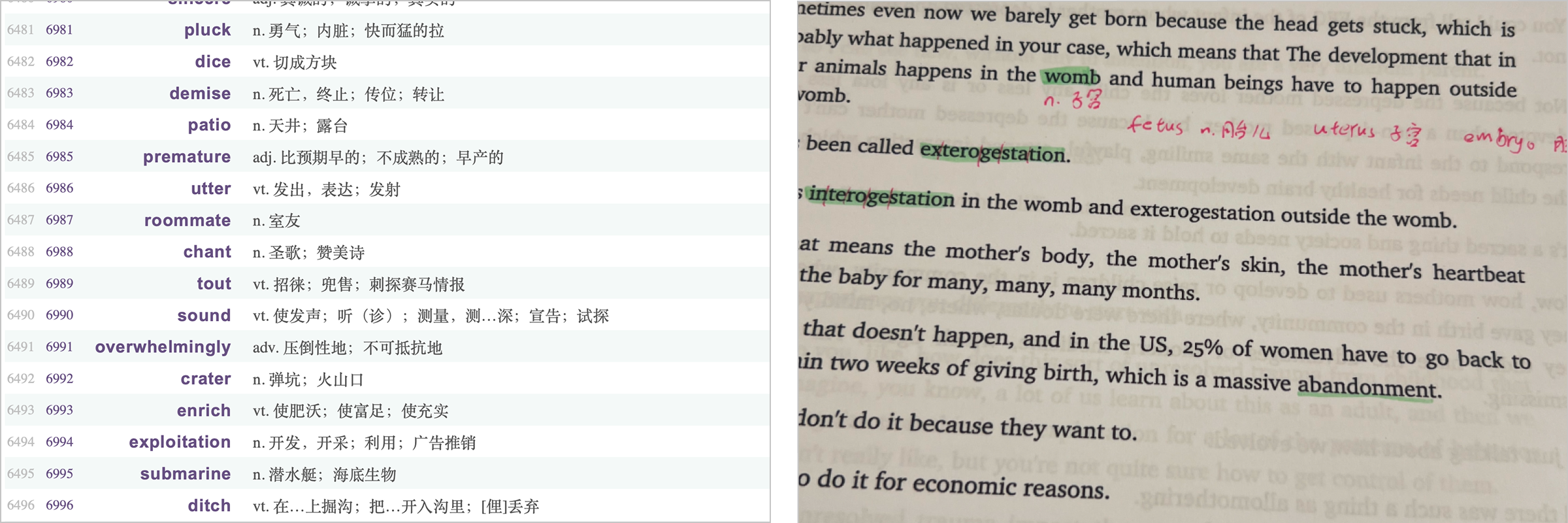 Printed high-frequency word lists and a podcast transcript with handwritten vocabulary annotations
